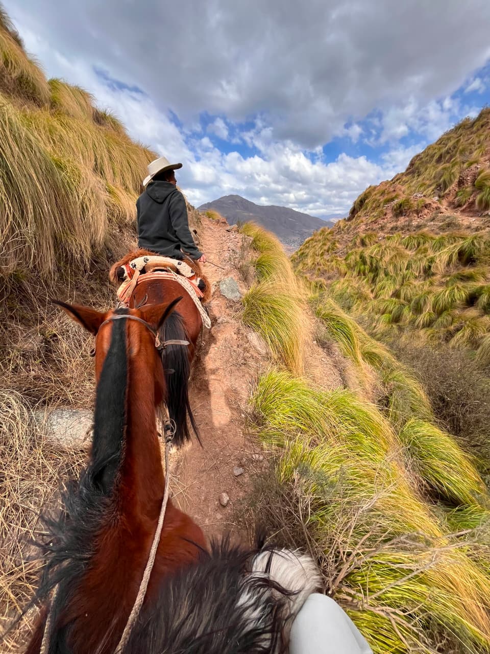 Guía baqueano encabezando la cabalgata por un sendero de montaña en El Filo, El Mollar