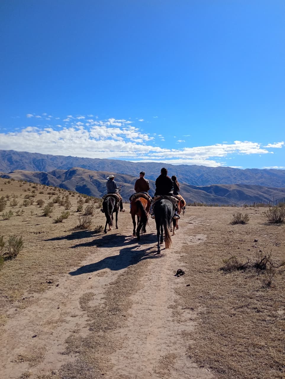 Cabalgata guiada avanzando por el sendero hacia los cerros de Tafí del Valle