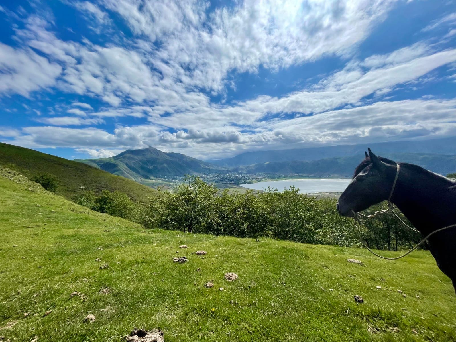 Caballo contemplando el valle verde de Tafí del Valle y el Dique La Angostura en temporada de lluvias